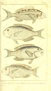n360_w1150