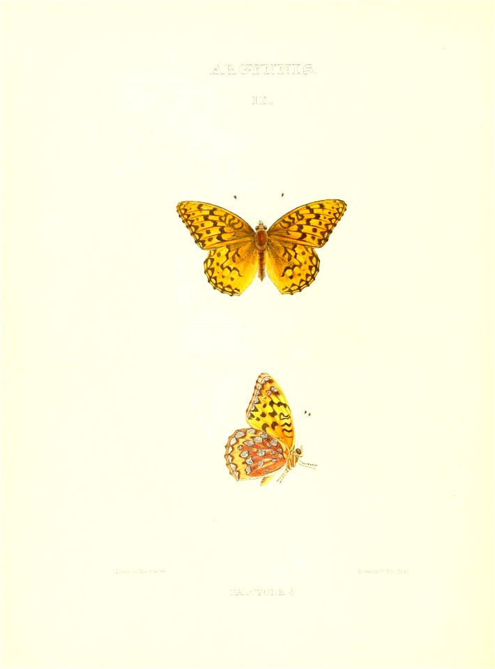 n211_w1150
