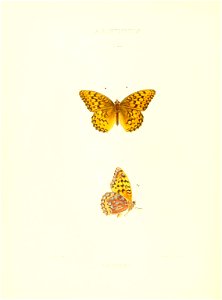n211_w1150