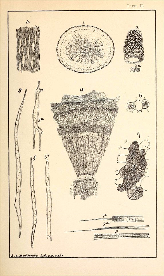 n368_w1150