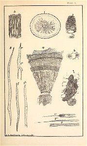 n368_w1150