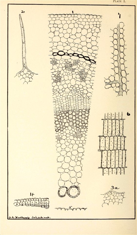 n365_w1150