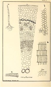 n365_w1150