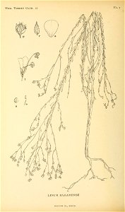 n223_w1150