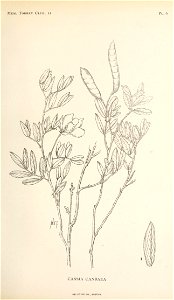 n218_w1150