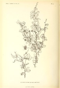 n215_w1150