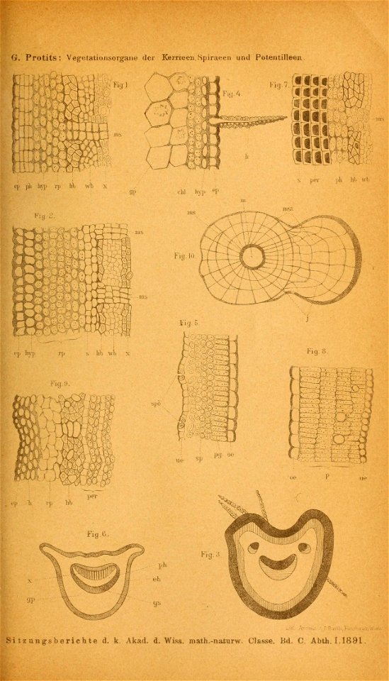 n304_w1150