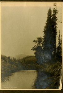 n11_w1150
