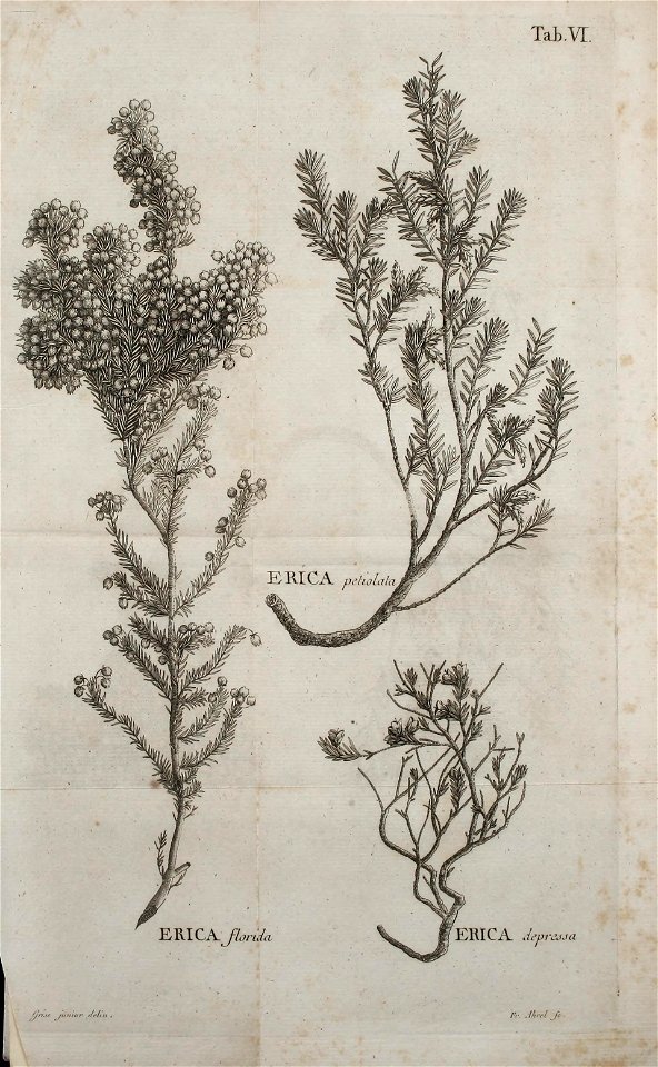n94_w1150