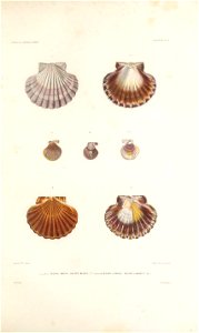 n126_w1150