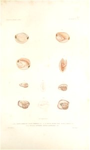n96_w1150
