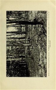 n194_w1150