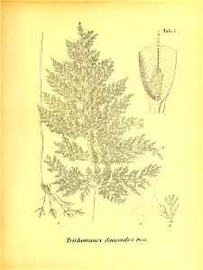n544_w1150