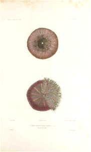 n154_w1150