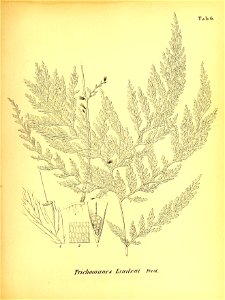 n542_w1150