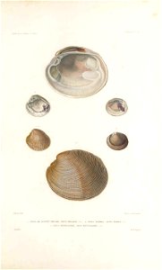 n122_w1150