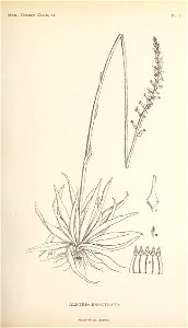 n196_w1150
