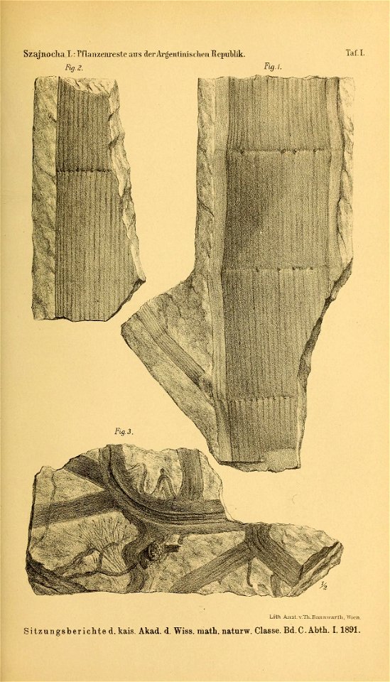 n238_w1150