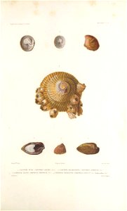 n120_w1150