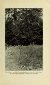 n228_w1150