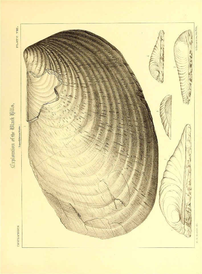 n534_w1150