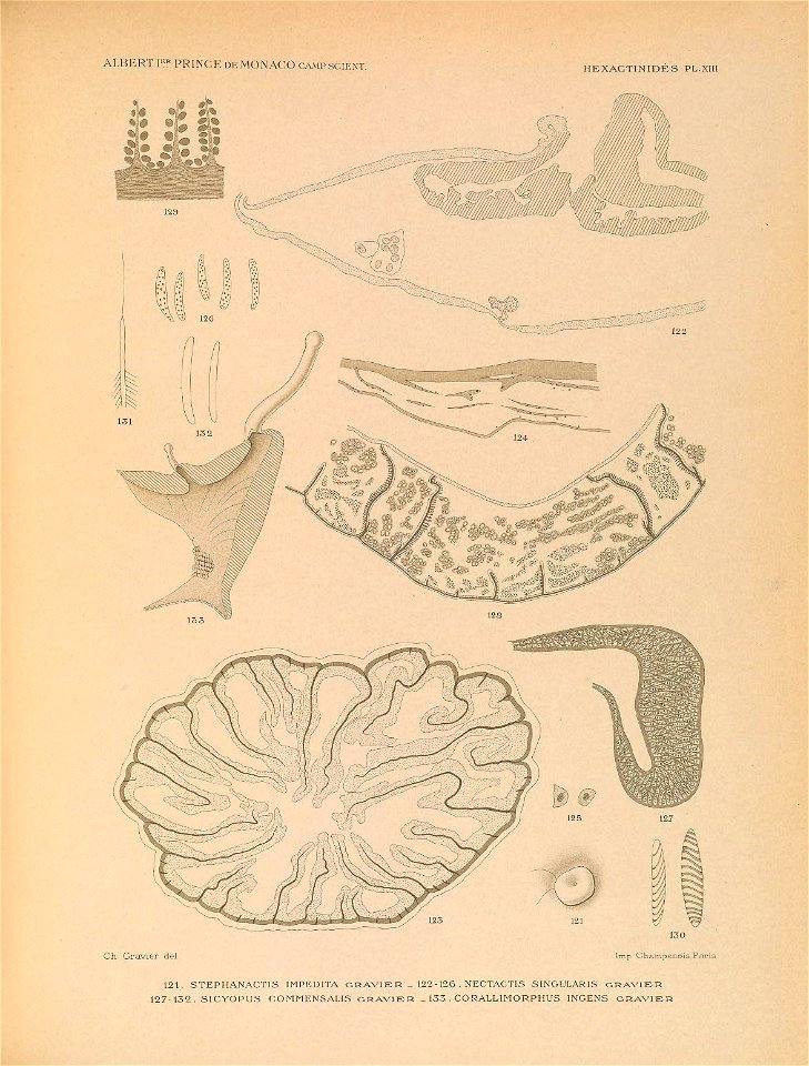 n166_w1150