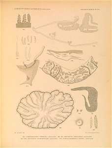 n166_w1150