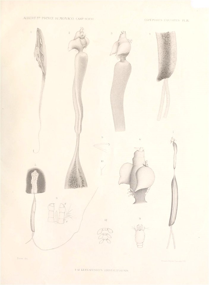 n116_w1150