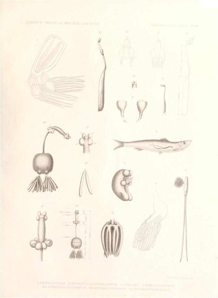 n112_w1150