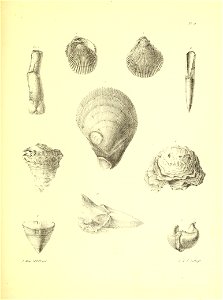 n98_w1150