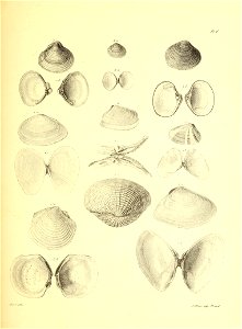 n68_w1150