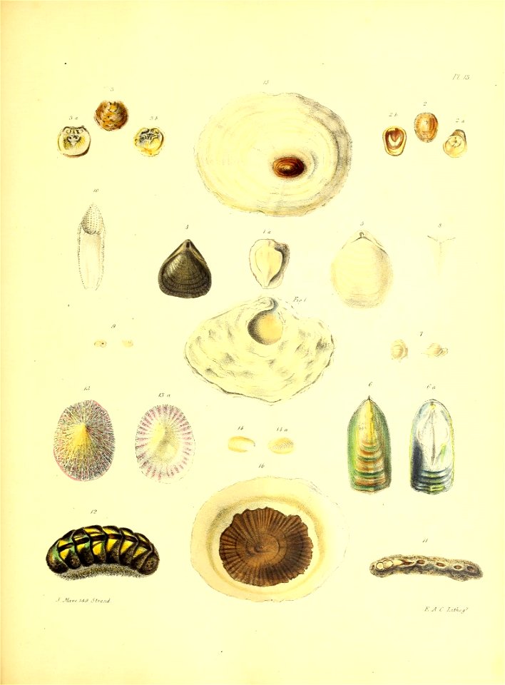 n112_w1150