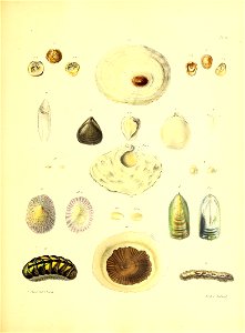 n112_w1150
