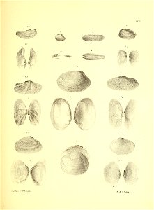 n66_w1150