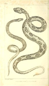 n217_w1150
