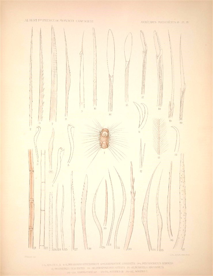 n198_w1150