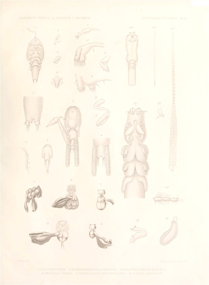 n104_w1150
