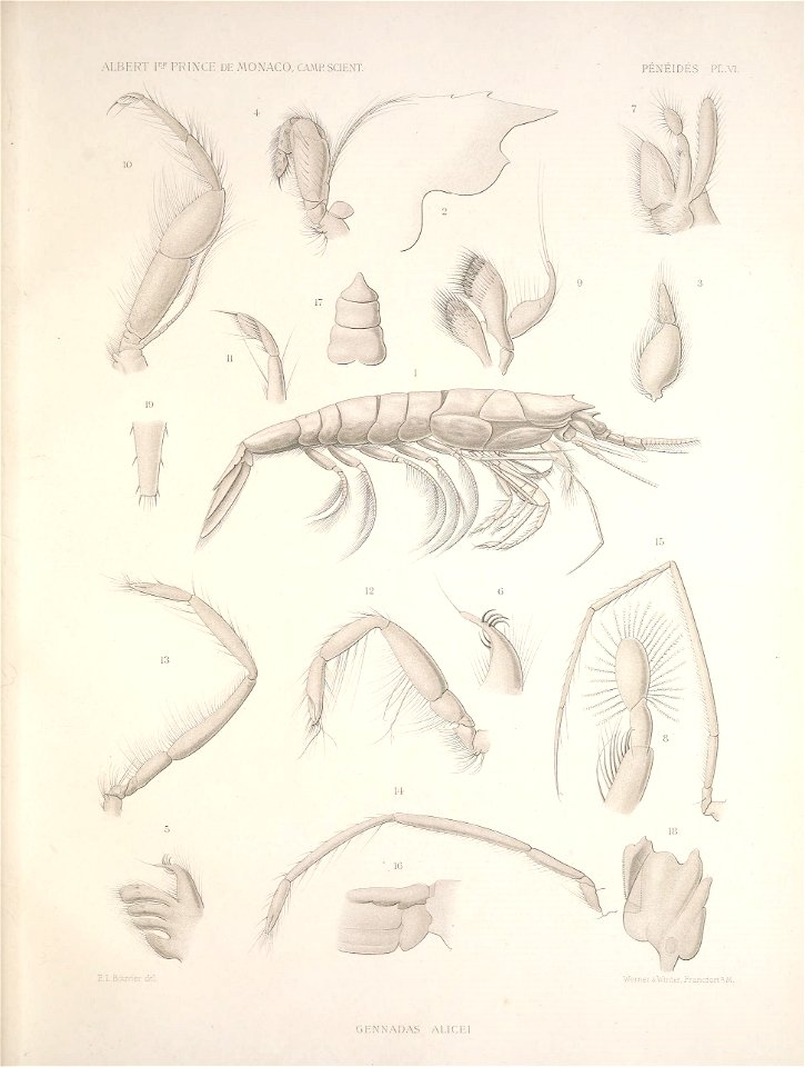 n158_w1150