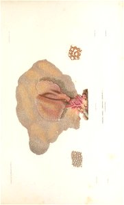 n164_w1150