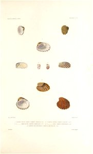 n134_w1150