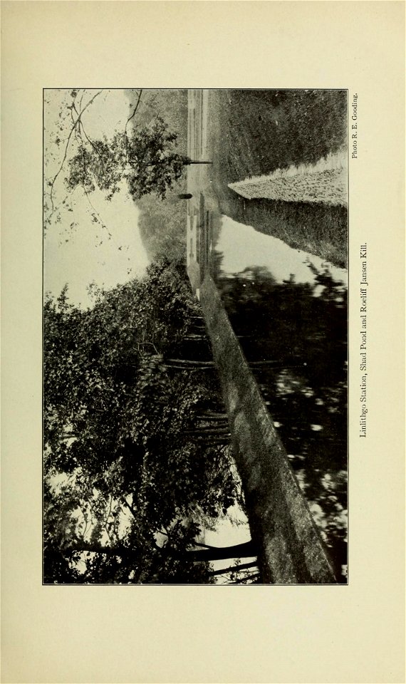 n306_w1150