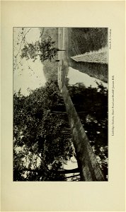 n306_w1150