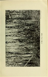 n204_w1150
