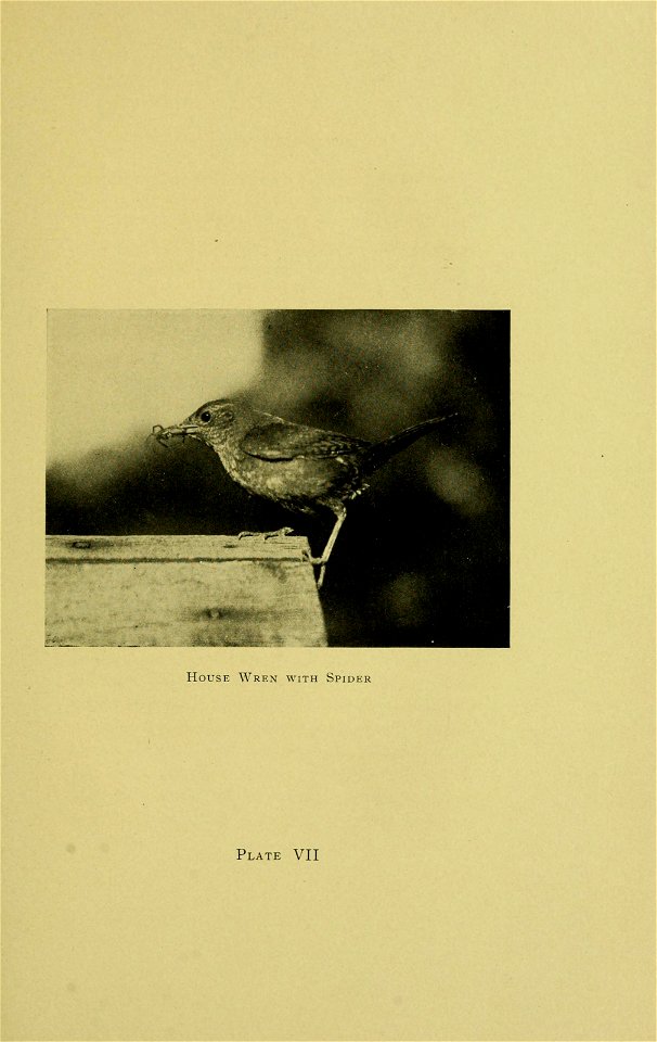 n60_w1150