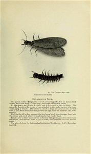 n256_w1150
