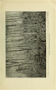n202_w1150