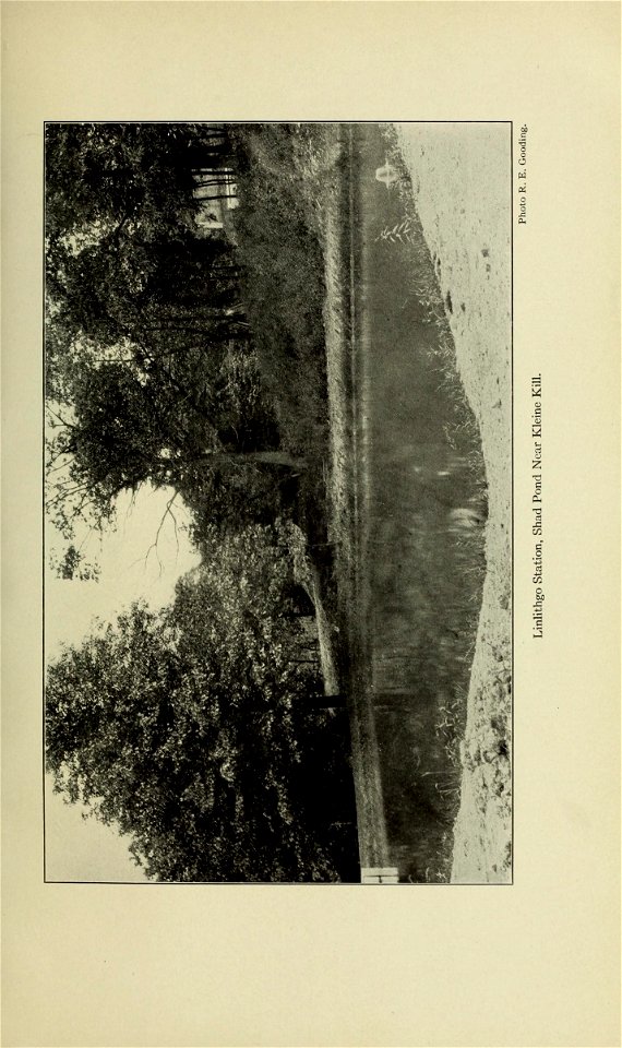 n302_w1150