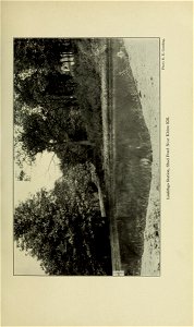 n302_w1150