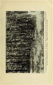 n200_w1150