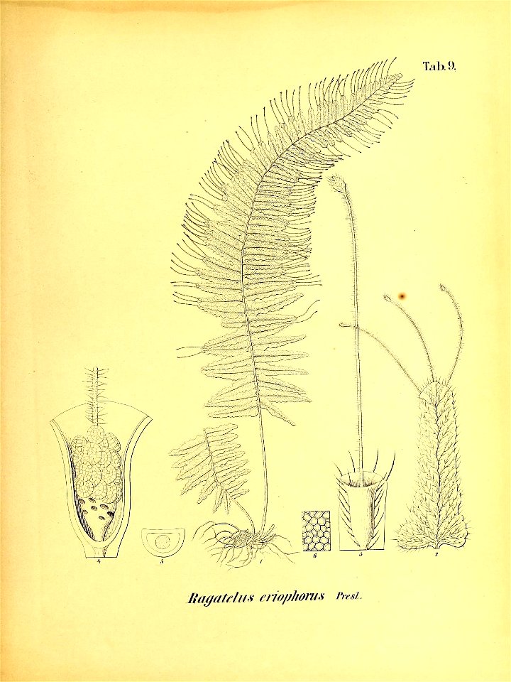 n548_w1150
